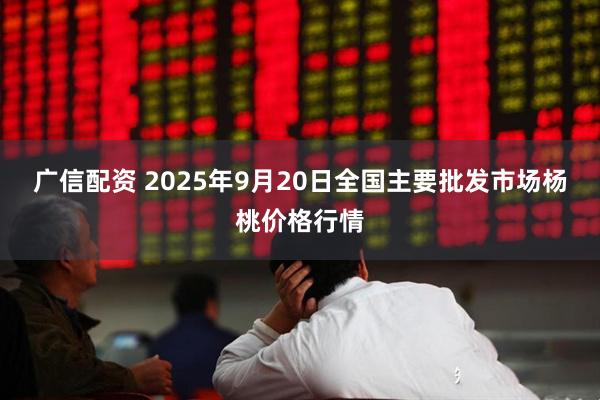 广信配资 2025年9月20日全国主要批发市场杨桃价格行情