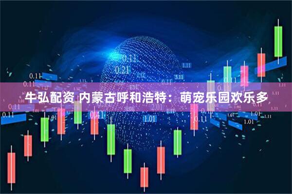 牛弘配资 内蒙古呼和浩特：萌宠乐园欢乐多