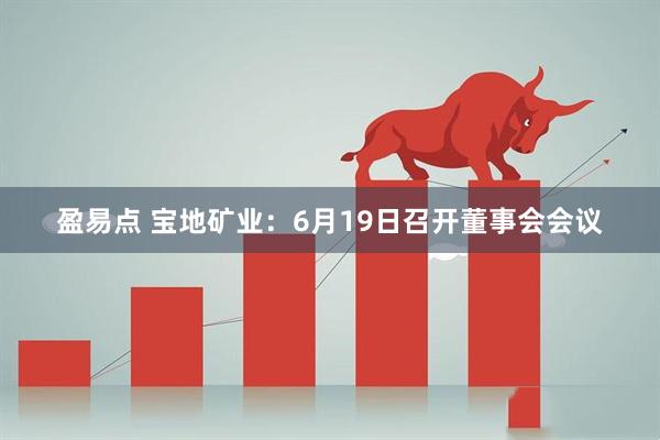 盈易点 宝地矿业：6月19日召开董事会会议
