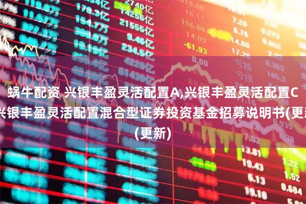 蜗牛配资 兴银丰盈灵活配置A,兴银丰盈灵活配置C: 兴银丰盈灵活配置混合型证券投资基金招募说明书(更新)