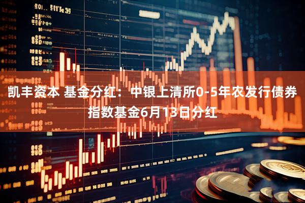 凯丰资本 基金分红:中银上清所0-5年农发行债券指数基金6月13日分红
