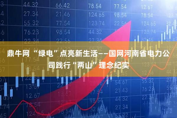 鼎牛网 “绿电”点亮新生活——国网河南省电力公司践行“两山”理念纪实
